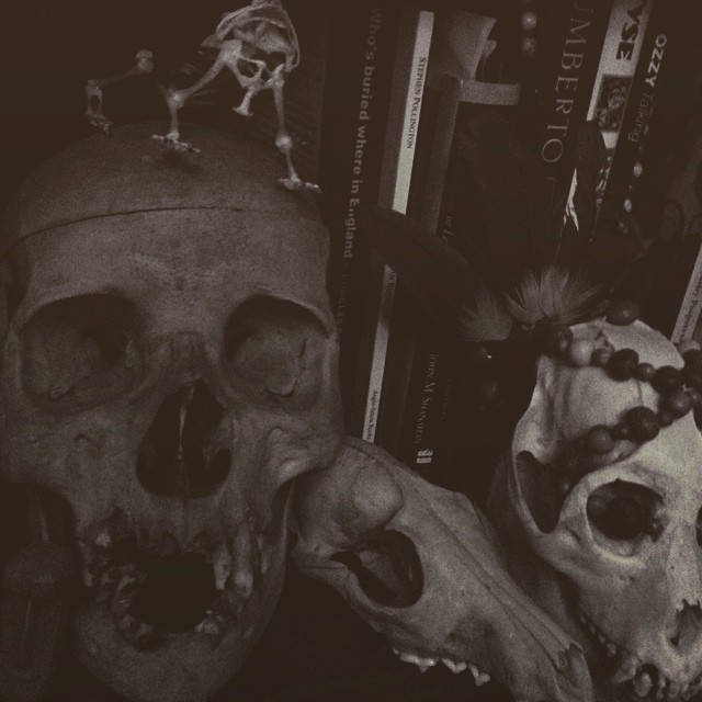 Warren Ellis at morning.computer - skulls