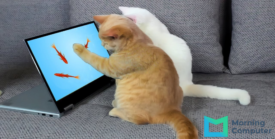 Daftar Game untuk Kucing Lucu di Android