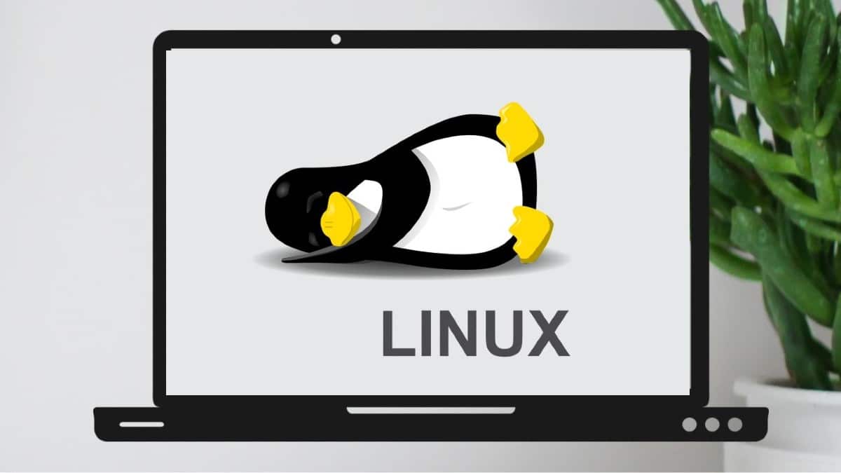  sistem operasi Linux