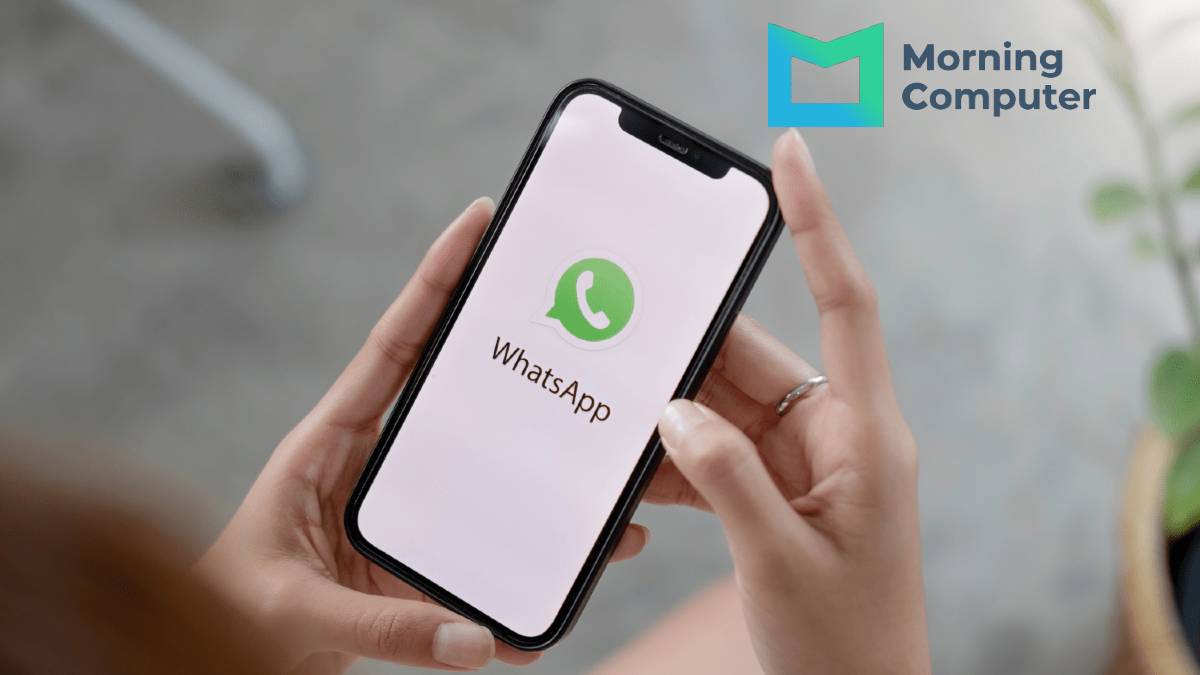 Whatsapp Blasting Software Kelebihan dan Kekurangannya