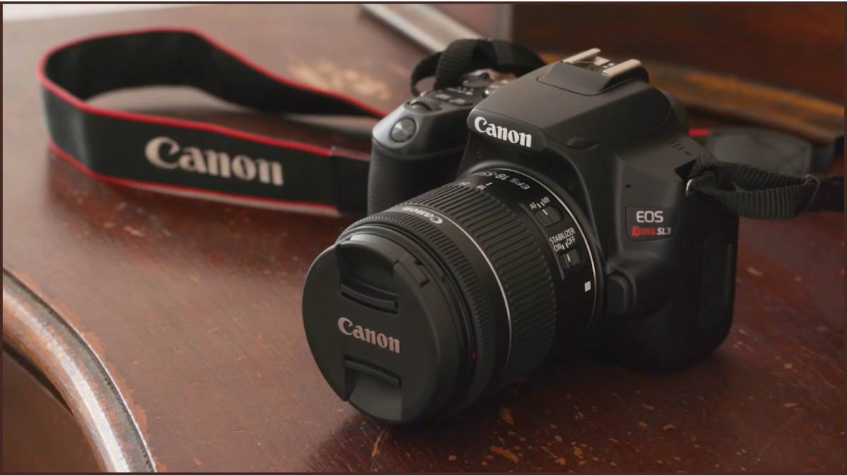Desain Kamera Canon EOS Rebel SL3/250 D/Kiss X10