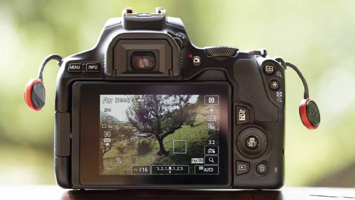 Fitur Kamera Canon EOS Rebel SL3/250 D/Kiss X10