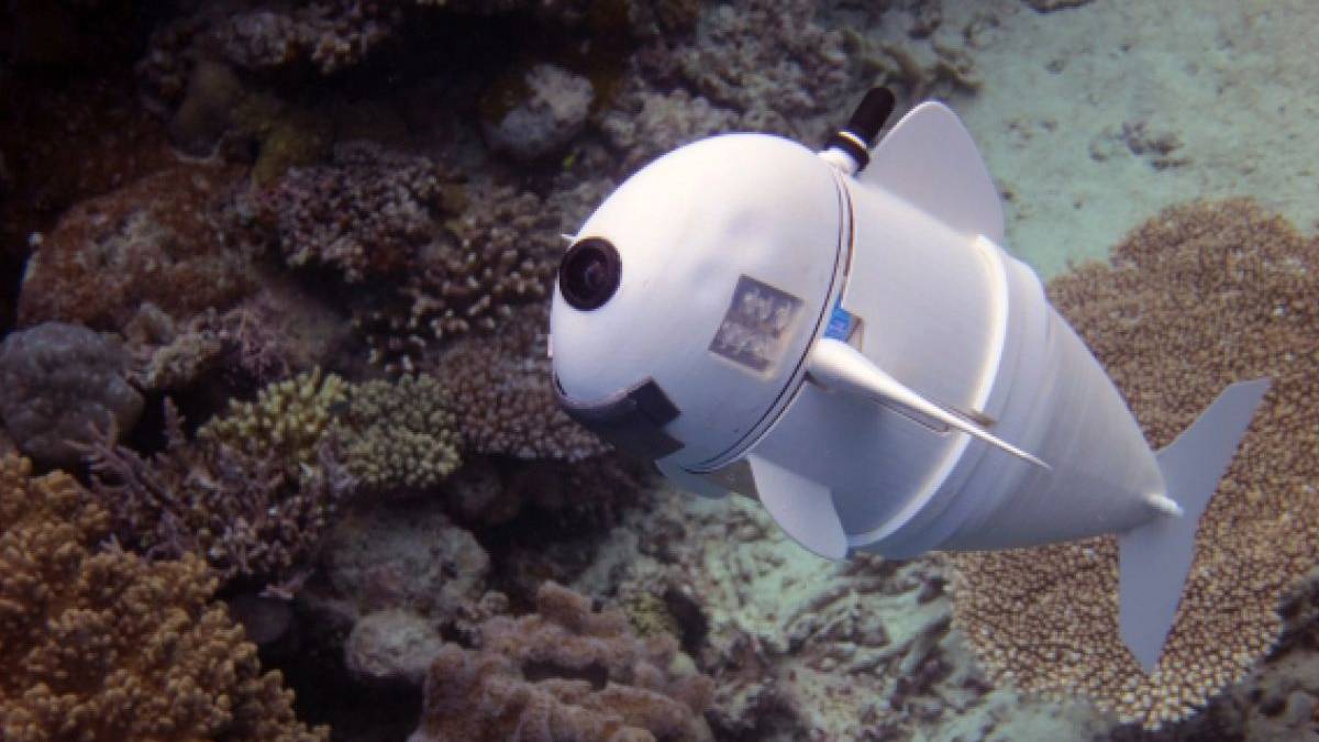 Mengenal Teknologi Robot AI Bawah Laut