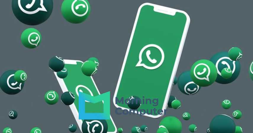 Cara Membuat Stiker WhatsApp di Iphone, Sangat Mudah